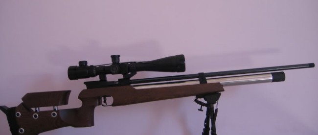 Senapan yang sering dipakai untuk berburu (stock)