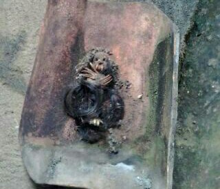 Sosok jenglot yang ditemukan di atap warga Cibinong, Kamis 18/2 (dok. KM)