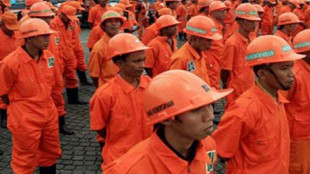 Petugas Kebersihan DKP, atau disebut juga Pesapon (stock)