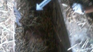 Selokan tempat mayat korban dibuang pelaku. (dok. KM)