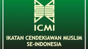 Logo ICMI (stock)