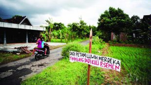Bambu runcing perlawanan sebagai bentuk aksi penolakan pabrik semen di Pegunungan Kendeng Utara (dok. Boemimahardika.wordpress.com)