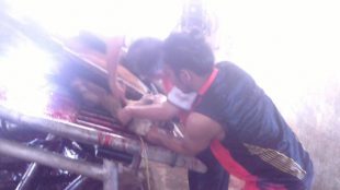 Petugas kurban dari Sekolah Pribadi melakukan pemotongan hewan kurban, Senin 12/9 (dok. KM)
