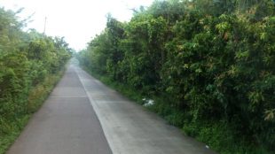 Jalan di kecamatan Jasinga setelah dirapikan oleh Pemkab Bogor (dok. dedi/KM)