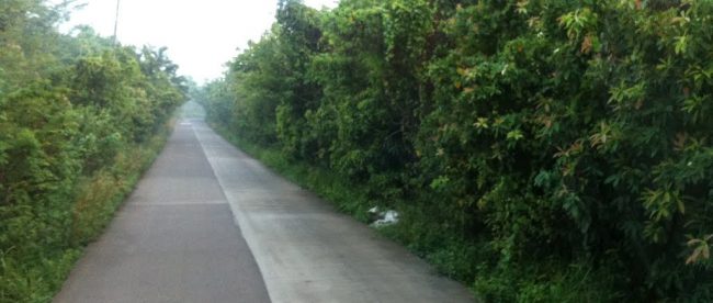 Jalan di kecamatan Jasinga setelah dirapikan oleh Pemkab Bogor (dok. dedi/KM)