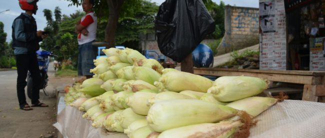 Pedagang jagung di bilangan Cibinong, Kabupaten Bogor (dok. Irfan/KM)