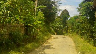 Jalan Kabupaten Bogor di Kecamatan Nanggung minim penerangan PJU (dok. KM)