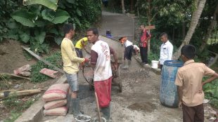 Warga masyarakat desa Koleang, kecamatan Jasinga, bergotong royong memperbaiki jalan (dok. KM)