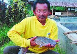 Nasrudin, peternak ikan lele sangkuriang di Megamendung, Bogor (dok. KM)