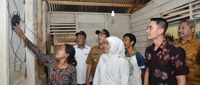 Mensos Khofifah Indar Parawansa (tengah) meninjau Balai Suku Anak Dalam di Kabupaten Sarolangun, Jambi 15/5 (dok. KM)