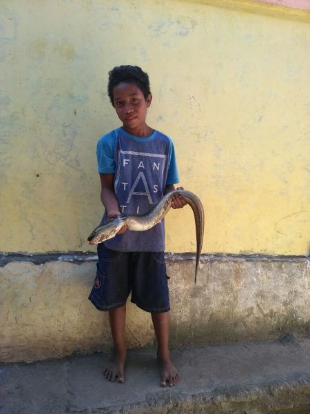 Anugerah Ilahi memperlihatkan salah satu belut tangkapannya di Bima, NTB (dok. KM)