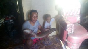 Gumilar memperlihatkan salah satu belut tangkapan anaknya di Bima, NTB (dok. KM)