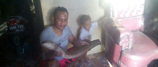 Gumilar memperlihatkan salah satu belut tangkapan anaknya di Bima, NTB (dok. KM)