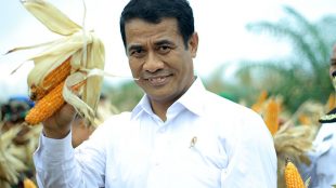 Menteri Pertanian Amran Sulaiman (dok. Media Indonesia)