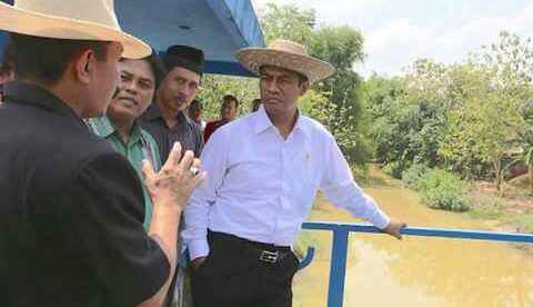 Menteri Pertanian Amran Sulaiman (stock)