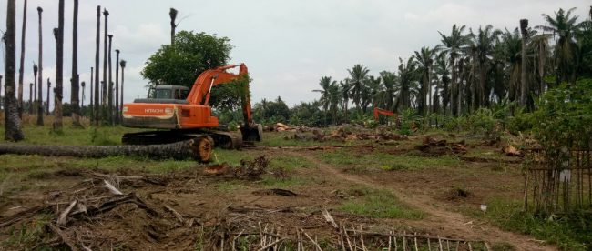(dok. KM)