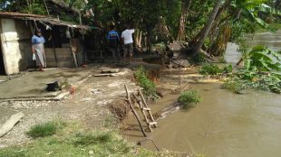 Abrasi akibat meluapnya Sungai Kluet, Aceh Selatan, mengancam rumah warga Gampong Kedai Padang (dok. KM)