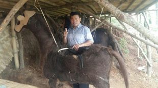 Camat Leuwiliang Chairuka Judhiyanto tinjau pembuatan bentuk kuda yang terbuat dari injuk pohon aren (dok. KM)