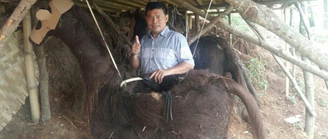 Camat Leuwiliang Chairuka Judhiyanto tinjau pembuatan bentuk kuda yang terbuat dari injuk pohon aren (dok. KM)