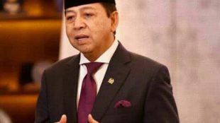 Ketua DPR Setya Novanto (stock)
