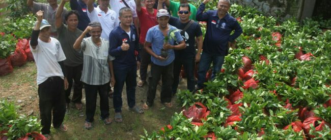Team Balawa berikan batuan bibit kopi ke 