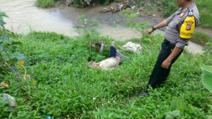 Polisi memperlihatkan sesosok mayat yang ditemukan warga di bantaran Sungai Cileungsi, Minggu pagi 19/11 (dok. KM)