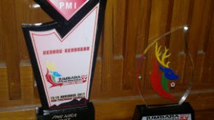 Juara Terbaik 2 PMR Tk. Kab. Bogor yang diraih oleh SMK Bhinnus (dok. KM)