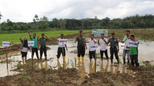 Dandim 0104/Atim dan Kepala Dinas Pertanian , Perkebunan dan Perikanan beserta kelompok tani lakukan tanam padi perdana bersama di Aceh Tamiang, Rabu 3/1 (dok. KM)