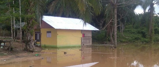 Kondisi rumah Nadia (54), semenjak pembangunan Jalan Elak Kota Idi, Kabupaten Aceh Timur (dok. KM)