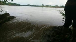 Tanggul jebol akibatkan banjir di Desa Bupati Aceh Tamiang Mursil meninjau lokasi tanggul jebol di Desa Rantau Pakam, Kecamatan Bendahara Kabupaten Aceh Tamiang, Januari 2018 (dok. KM)
