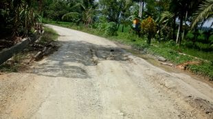 Kondisi jalan menuju Gampong Matang Seuke Pulot, Kecamatan Tanah Jambo Aye, Aceh Utara tampak berlubang, Minggu 21/01 (ist)