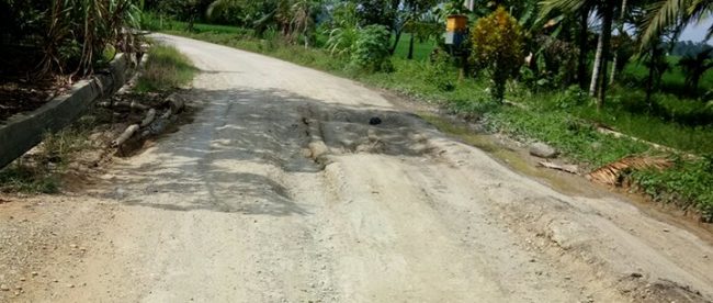 Kondisi jalan menuju Gampong Matang Seuke Pulot, Kecamatan Tanah Jambo Aye, Aceh Utara tampak berlubang, Minggu 21/01 (ist)