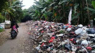 TPS Liar di kawasan Desa Cileungsi Kota, Kecamatan Cileungsi, Bogor (dok. KM)