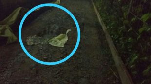 Lubang yang ditemukan di lokasi pengecoran jaling di Kelurahan Mustika Sari, Kota Bekasi (dok. KM)