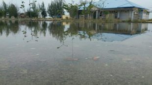 Lokasi proyek pembangunan Pelabuhan Penyeberangan Feri Langsa Aceh-Malaysia ditelantarkan, merugikan uang rakyat Kota Langsa 2,4 miliar dana APBK Langsa tahun 2013.