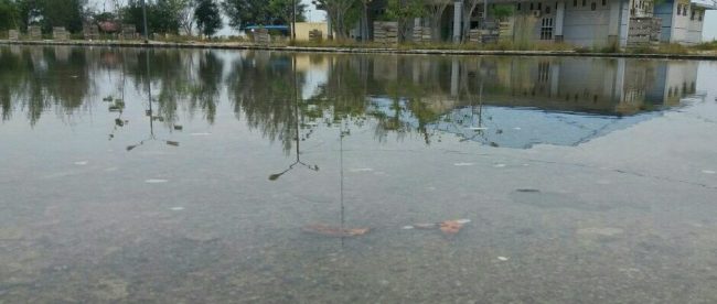 Lokasi proyek pembangunan Pelabuhan Penyeberangan Feri Langsa Aceh-Malaysia ditelantarkan, merugikan uang rakyat Kota Langsa 2,4 miliar dana APBK Langsa tahun 2013.
