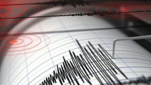 Ilustrasi monitor gempa bumi (dok. KM)