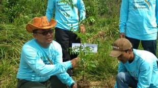 Penanaman bibit pohon saat peringatan HUT TNTN Pelalawan, Jumat 20/7 (dok. KM)