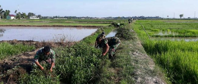 Babinsa dari jajaran Koramil Langsa Timur membersihkan saluran irigasi, Selasa 14/8 (dok. KM)