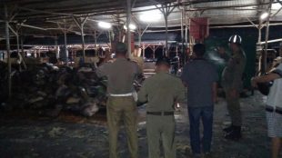 Satpol PP Provinsi Kepulauan Babel ketika sedang melakukan penyegelan gudang milik PT Cinta Alam Lestari (dok. KM)