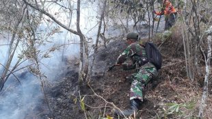 Tim Gabungan dari TNI, Polri, BPBD, para relawan dan masyarakat setempat melakukan pemadaman dari 17/10/2018 hingga Jumat 19/10/2018.