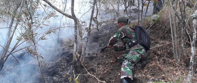 Tim Gabungan dari TNI, Polri, BPBD, para relawan dan masyarakat setempat melakukan pemadaman dari 17/10/2018 hingga Jumat 19/10/2018.