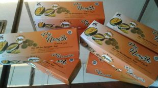 Kue "pie nangbo" produksi Toko Agung Bakery (dok. KM)