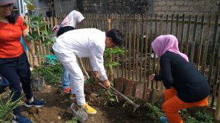 Giat Tanam Pohon GTP ke-191 di Kelurahan Margajaya, Kecamatan Bogor Barat, Minggu 7/10/2018 (dok. KM)