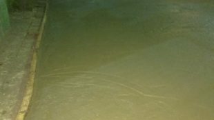 Pengecoran di jl. Gatotkaca Raya RT 016/012 Perum Bekasi Timur Permai, Desa Setia Mekar, Tambun Selatan, Bekasi (dok. KM)