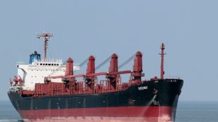 Kapal MV Golden Ocean (dok. Vesseltracker.com)