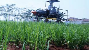 Ilustrasi pertanian modern di Indonesia (dok. Kementan)