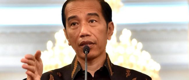 Presiden Joko Widodo dok. Setpres)