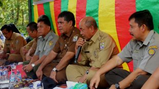Bupati Pelalawan HM Harris di acara panen perdana manggis diÂ Desa Segati, Kecamatan Langgam, Kabupaten Pelalawan, Senin 28/1/2019 (dok. KM)