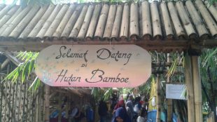 (dok. KM)